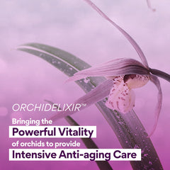Jeju Orchid Skin 170ml