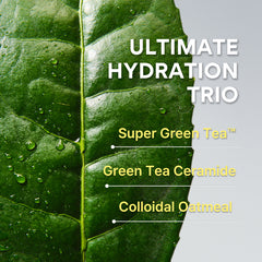 [COMING SOON] INNISFREE Green Tea Ceramide Cream 50ml - Hydrating Moisturiser for Deep Hydration, Moisture