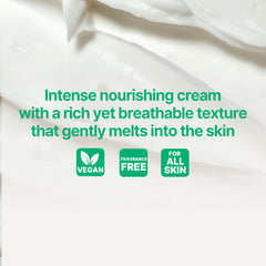 [COMING SOON] INNISFREE Green Tea Ceramide Cream 50ml - Hydrating Moisturiser for Deep Hydration, Moisture