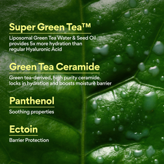 Green Tea Ceramide Mist 90ml - Hydration, Soothing and Glow—24 Hours a day