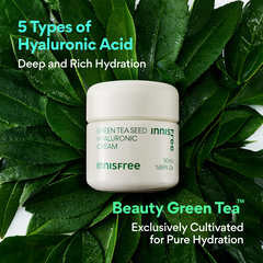 [INNISFREE x TOY STORY] Green Tea Seed Hyaluronic Cream Set - Limited Edition, Hydration & Moisture
